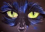 Cats Eyes by Artist Lisa Dobson
